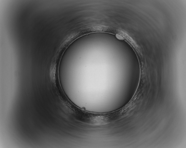 X0000100320058200806051526