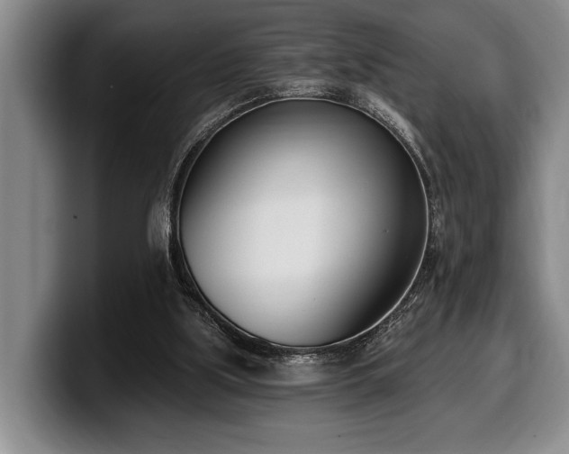 X0000100320059200806051526