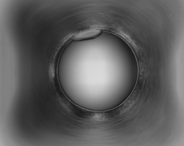 X0000100320060200806051526