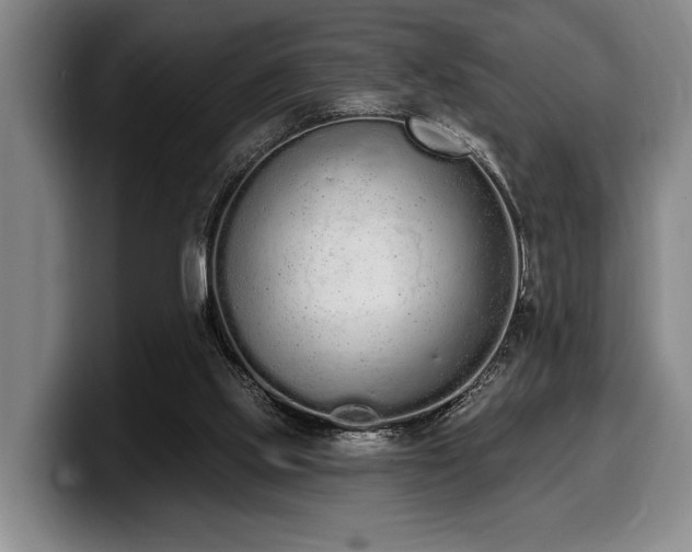 X0000100320061200806051526