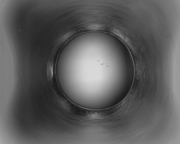 X0000100320062200806051526