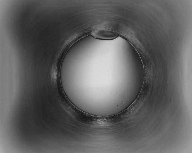 X0000100320064200806051526