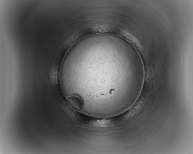 X0000100320065200806051526