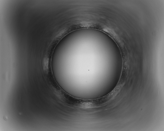 X0000100320066200806051526