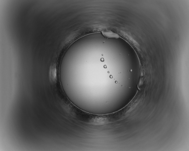 X0000100320067200806051526