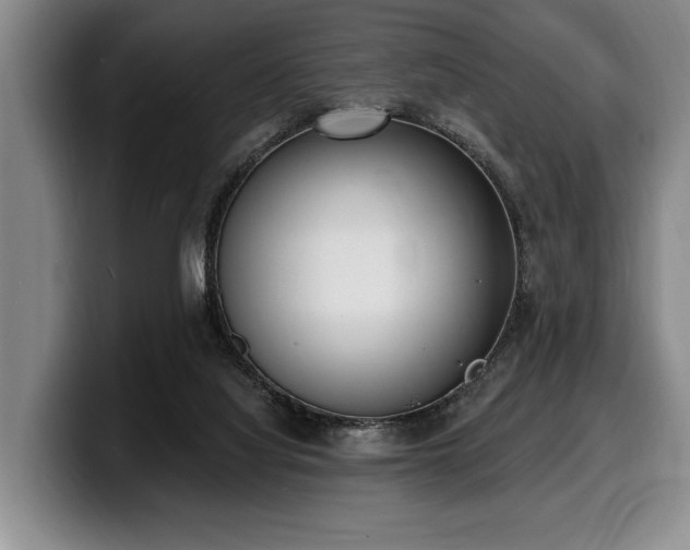 X0000100320068200806051526