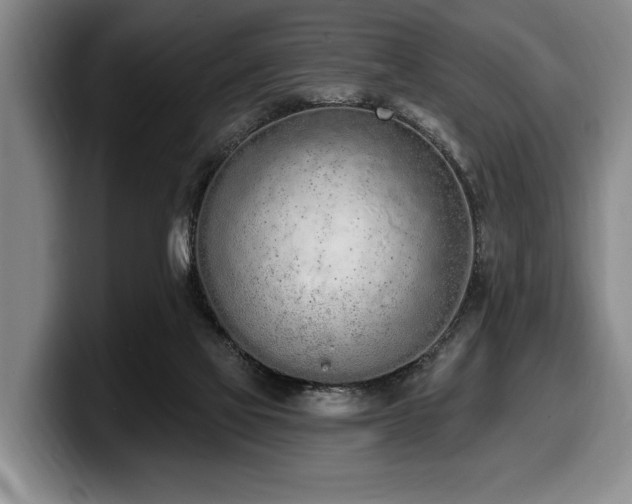 X0000100320069200806051526