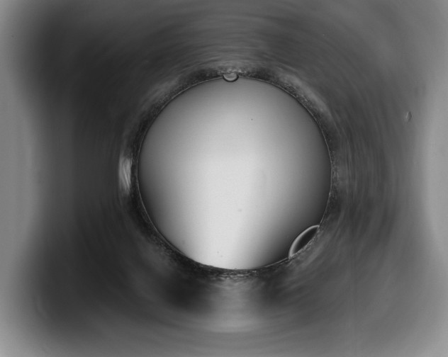 X0000100320070200806051526