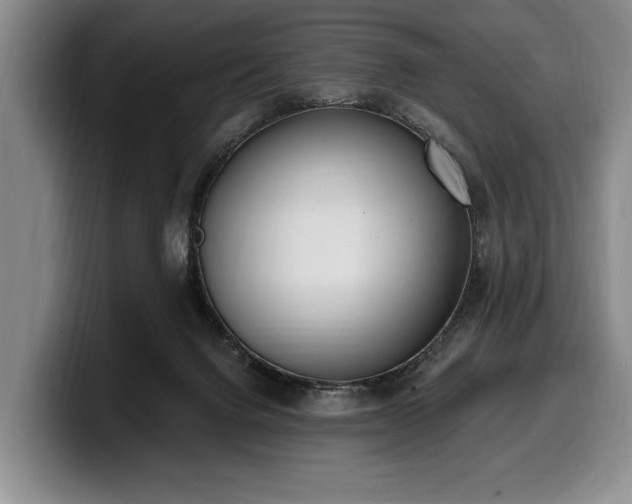 X0000100320072200806051526