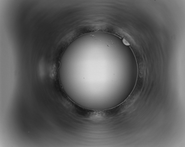 X0000100320077200806051526