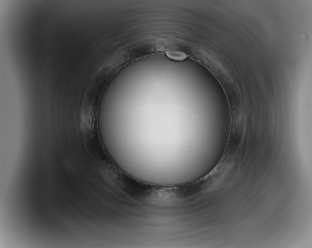 X0000100320078200806051526