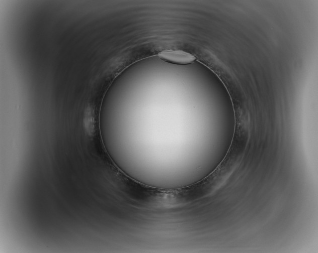 X0000100320080200806051526