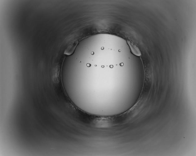 X0000100320082200806051526