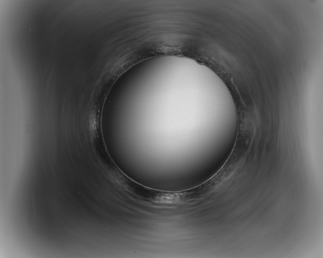 X0000100320084200806051526