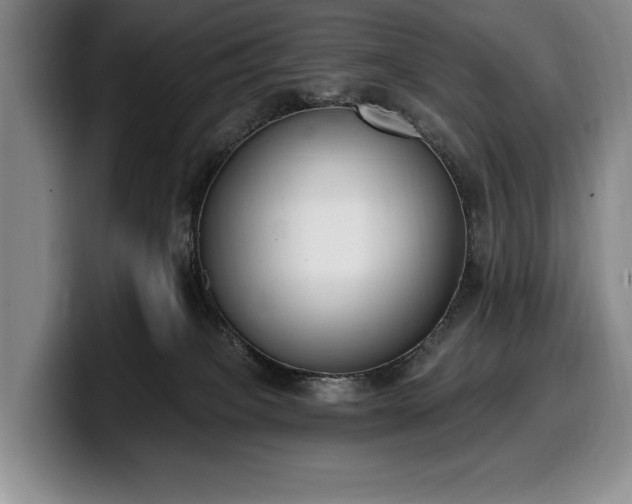 X0000100320085200806051526