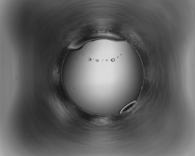 X0000100320086200806051526