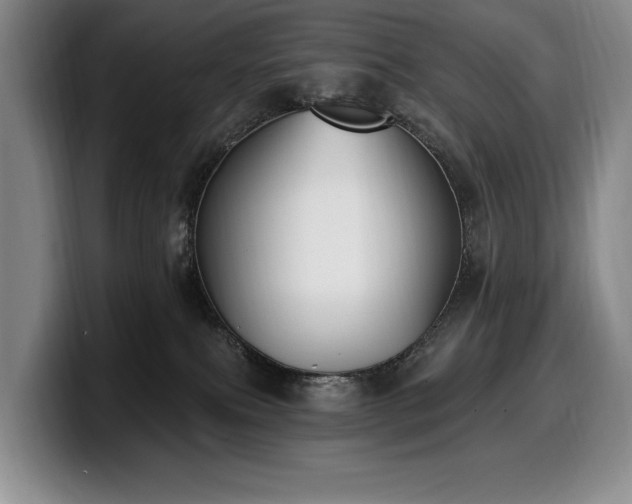 X0000100320087200806051526