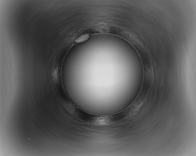 X0000100320088200806051526