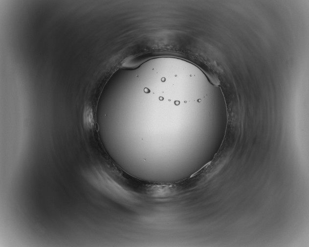 X0000100320089200806051526