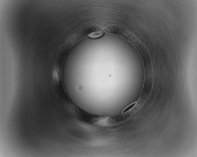 X0000100320090200806051526