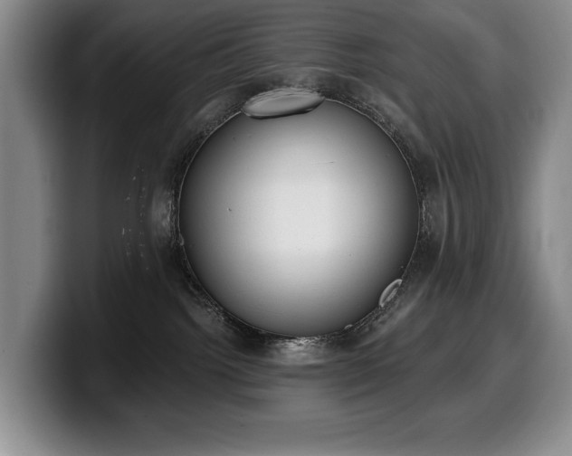 X0000100320092200806051526