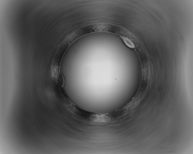 X0000100320093200806051526