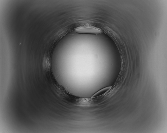 X0000100320096200806051526