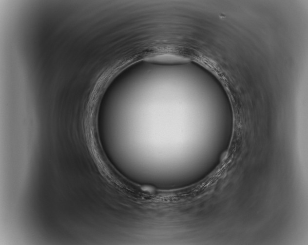 X0000100320097200806051525