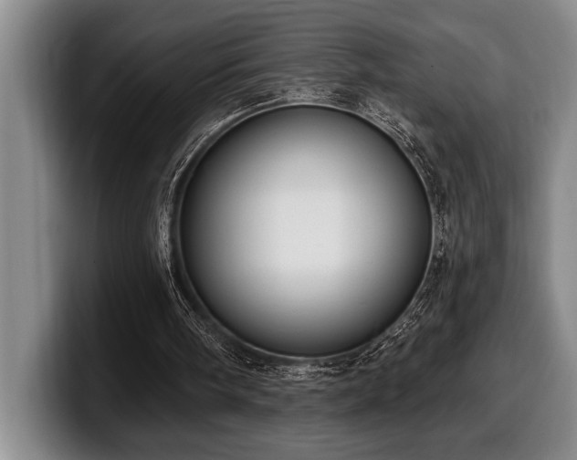 X0000100320098200806051525