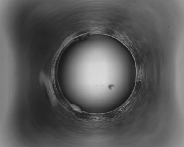 X0000100320099200806051525