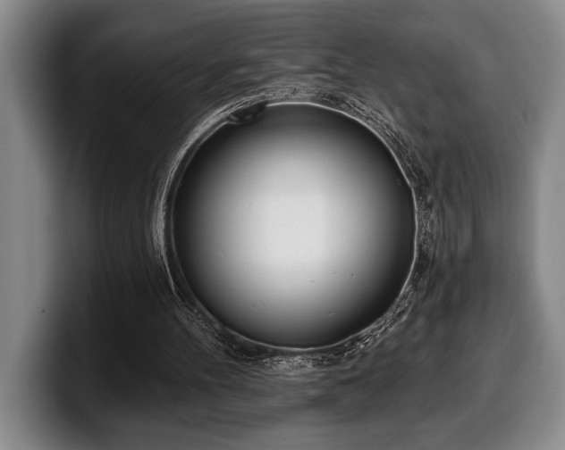 X0000100320100200806051525