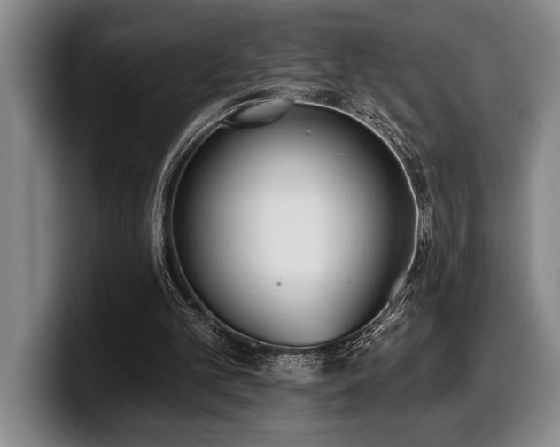 X0000100320101200806051525