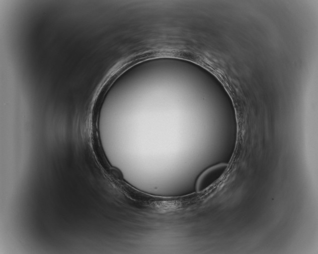 X0000100320102200806051525