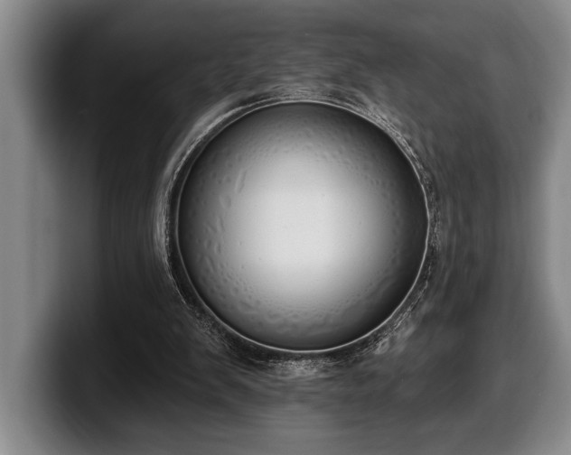 X0000100320103200806051525