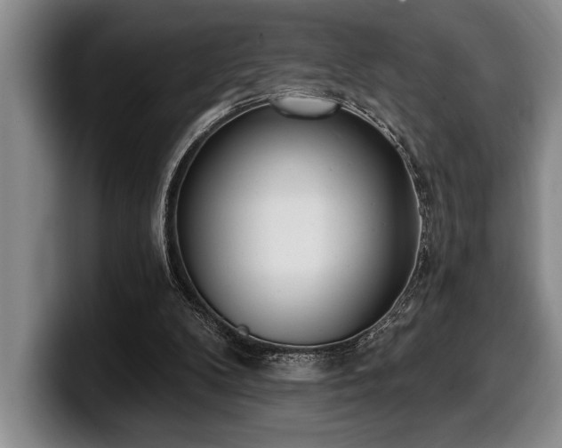 X0000100320104200806051525