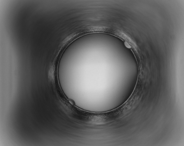 X0000100320107200806051525