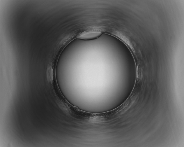 X0000100320109200806051525