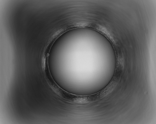 X0000100320110200806051525