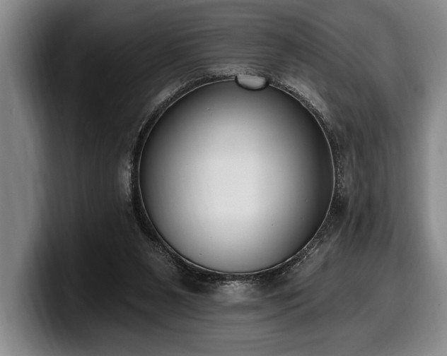 X0000100320111200806051525