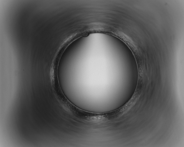 X0000100320112200806051525