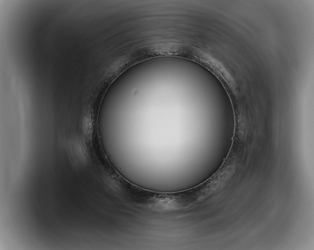 X0000100320113200806051525