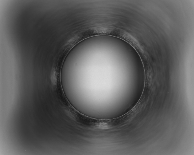 X0000100320114200806051525