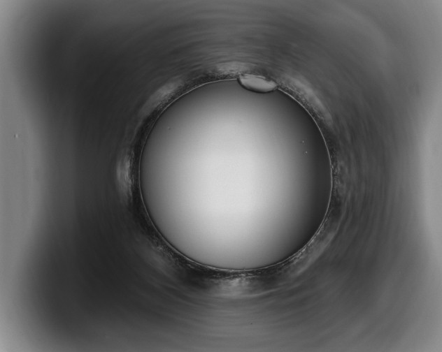 X0000100320116200806051525