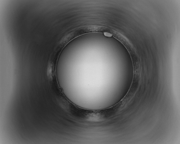 X0000100320119200806051525