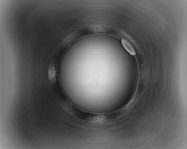 X0000100320124200806051525