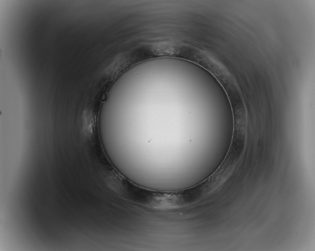 X0000100320125200806051525