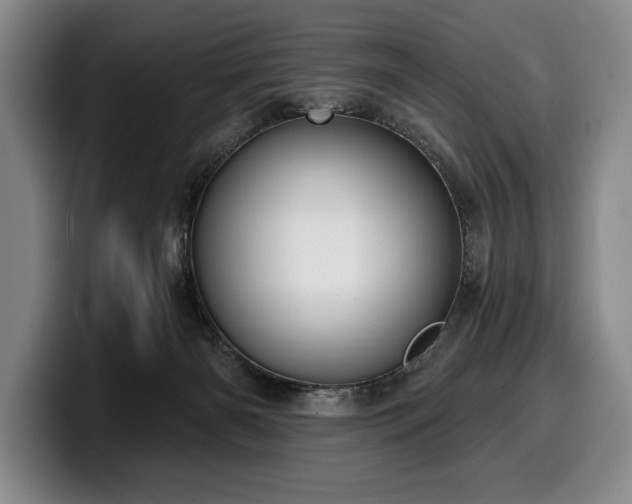 X0000100320126200806051525