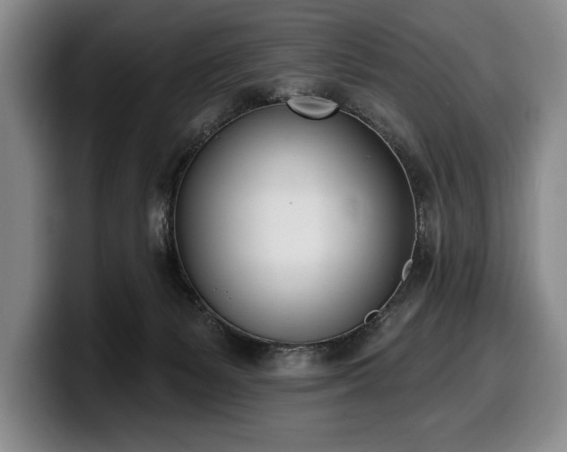 X0000100320127200806051525