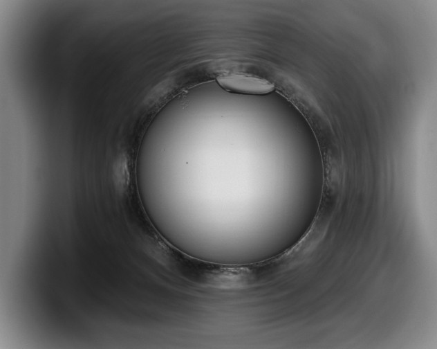 X0000100320128200806051525