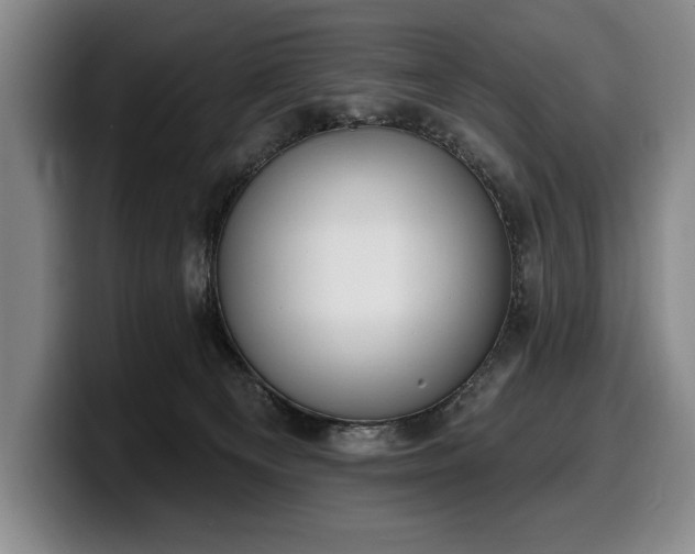 X0000100320129200806051525